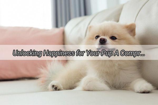 Unlocking Happiness for Your Pup A Comprehensive Guide to Raising a Joyful Canine Companion